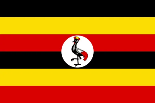Image for New Program in Uganda!
