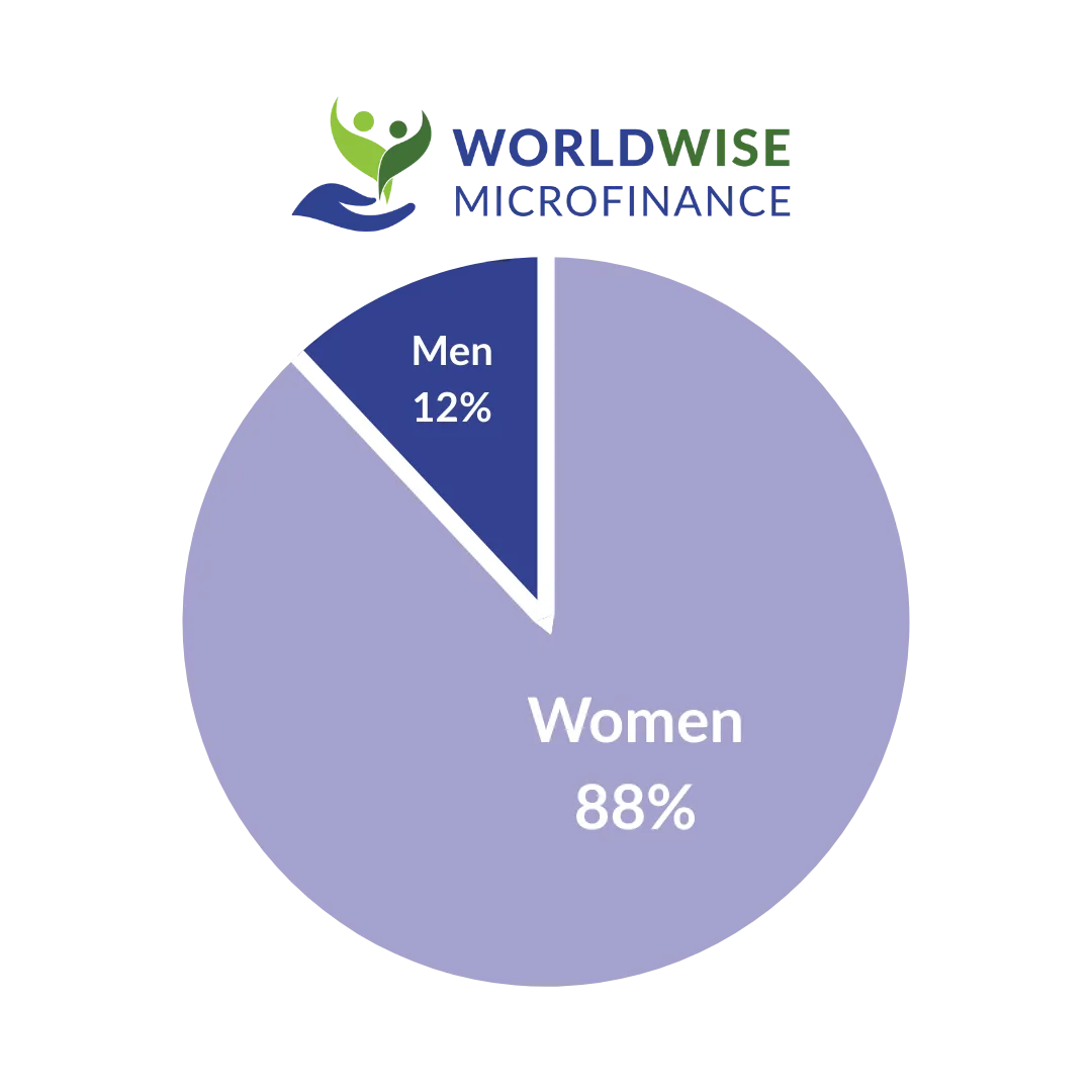 Microfinance by gender