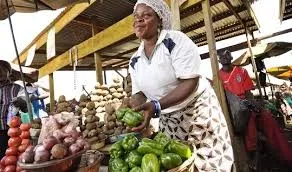 Image for WorldWise in Kenya