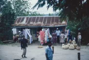 The Seeds We Plant: April’s “Month of Microfinance”