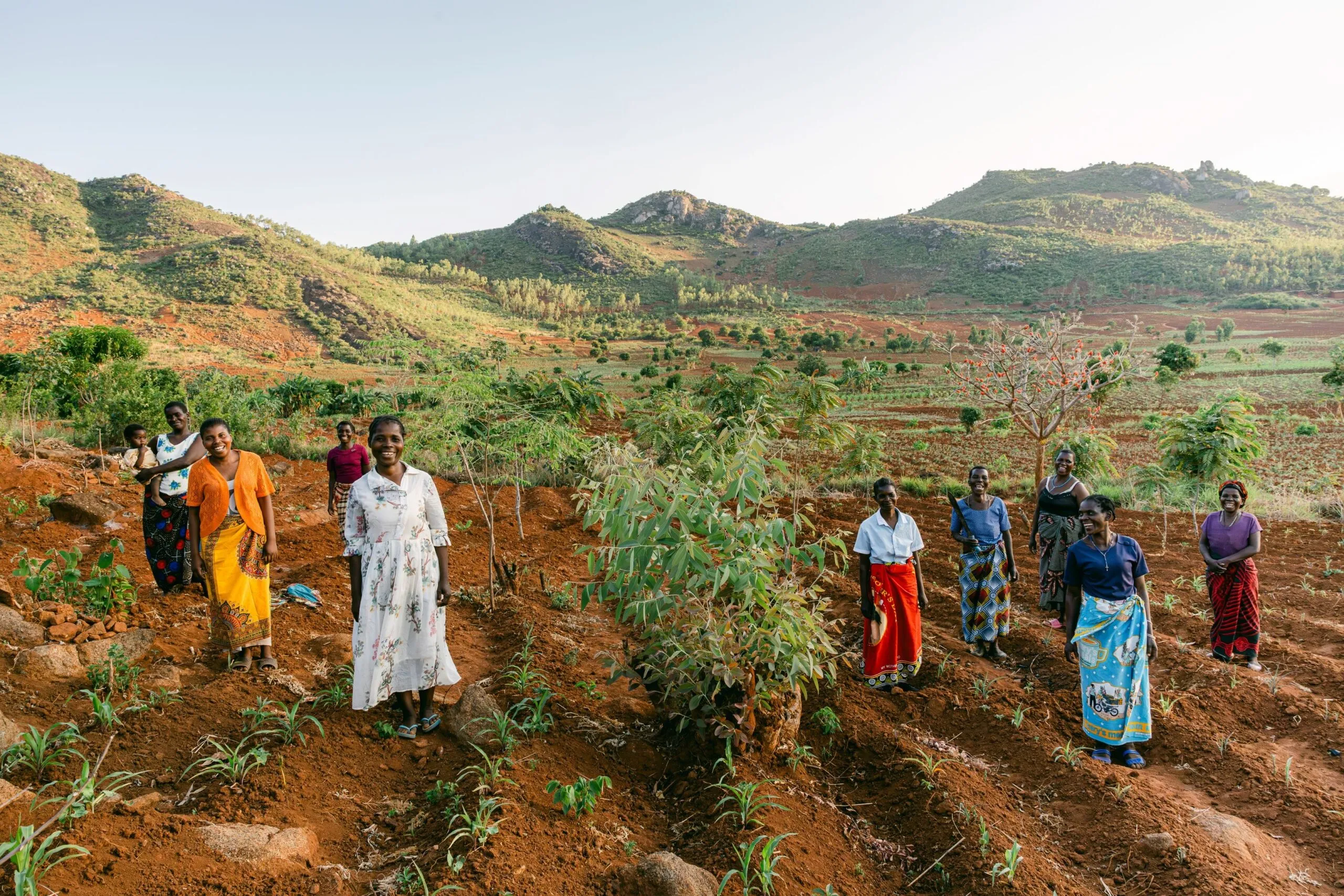 group in field