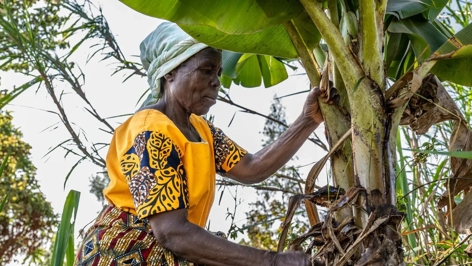 woman and banana